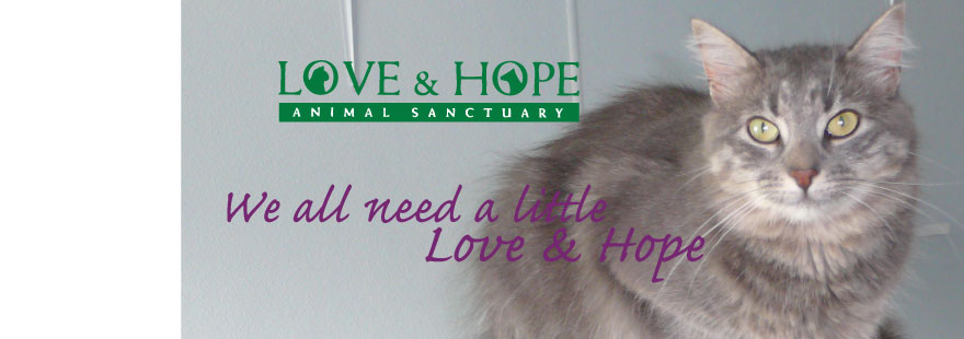 Love and Hope Animal Sanctuary, Inc. - We all need a little Love and Hope