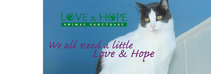 Love and Hope Animal Sanctuary, Inc. - We all need a little Love and Hope